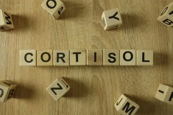 The Hidden Connection: How Stress Shapes Your Fitness and Body Composition 2 Image saying "Cortisol" and how stress Stratford-upon-Avon impacts your wellbeing and bodies shape